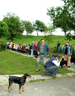 Deutsche Pinscher v. Robinienhof