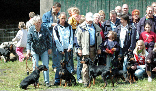 Deutsche Pinscher v. Robinienhof