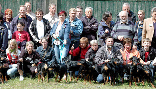 Deutsche Pinscher v. Robinienhof