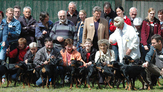 Deutsche Pinscher v. Robinienhof