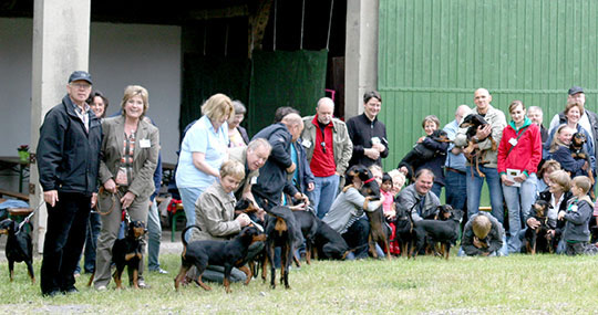 Deutsche Pinscher Familientreffen