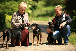 Deutsche Pinscher  Mutter mit 2 Tchtern