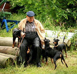 Deutsche Pinscher Familientreffen