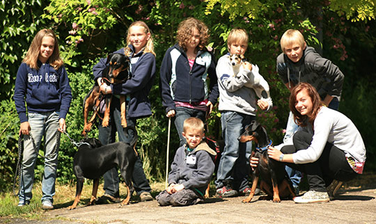 Deutsche Pinscher Jugend beim Familientreffen