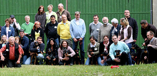 Deutsche Pinscher Familientreffen