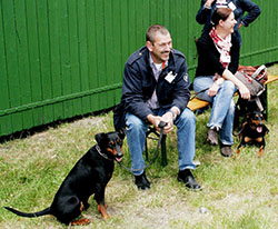 Deutsche Pinscher Familientreffen