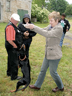 Deutsche Pinscher Familientreffen