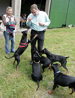 Deutsche Pinscher Familientreffen