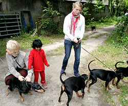 Deutsche Pinscher Familientreffen