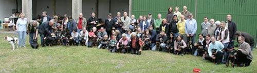 Deutsche Pinscher Gruppenfoto</p>
<p class=