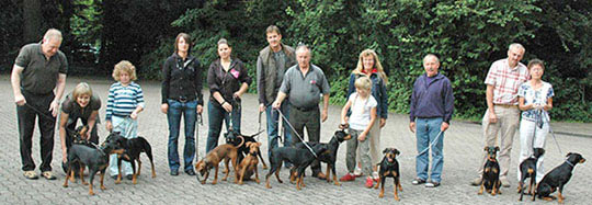 Deutsche Pinscher vom Robinienhof