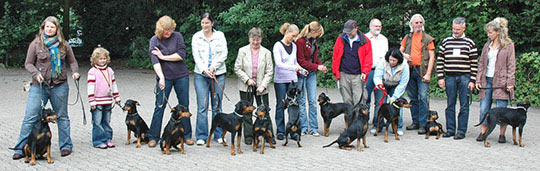 Deutsche Pinscher vom Robinienhof