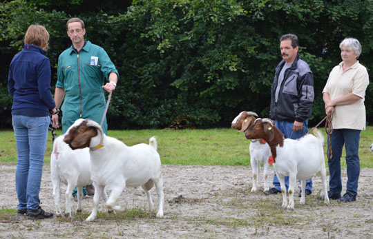 rhenag Rheinischer Tiertag 2014