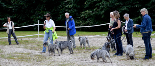 rhenag Rheinischer Tiertag 2014