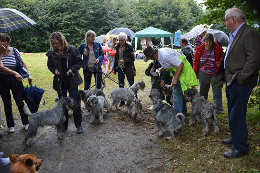 rhenag Rheinischer Tiertag 2014