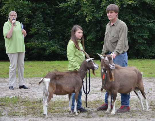 rhenag Rheinischer Tiertag 2014